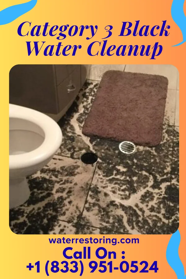 Category 3 Black Water Cleanup in Fort Mill, SC